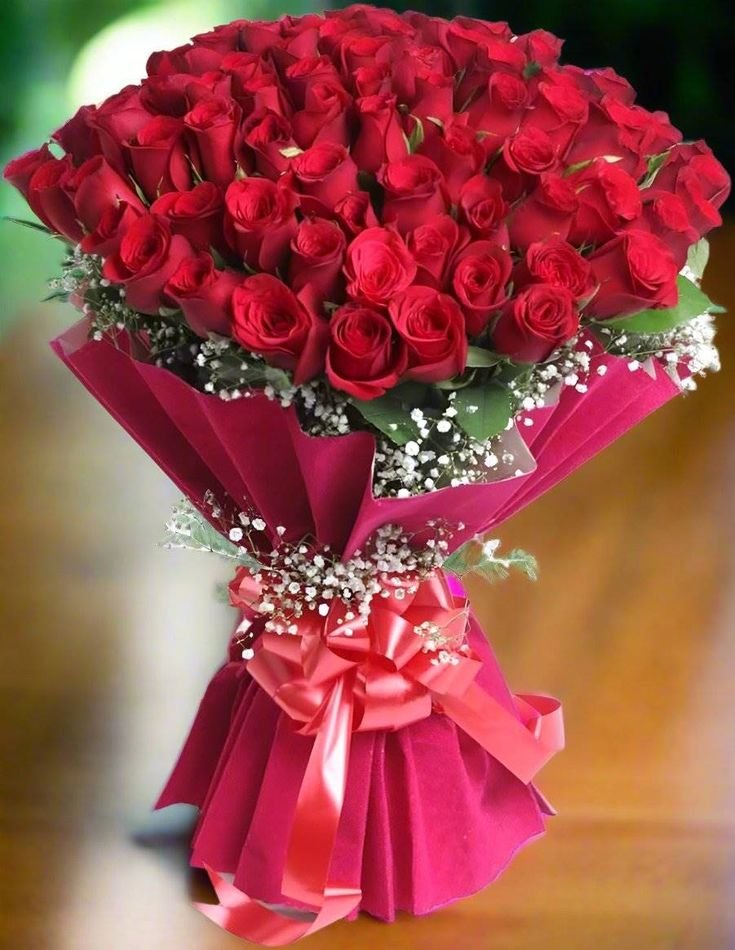 50 beautiful rose