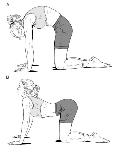Low back pain exercises- lumbar spondylosis