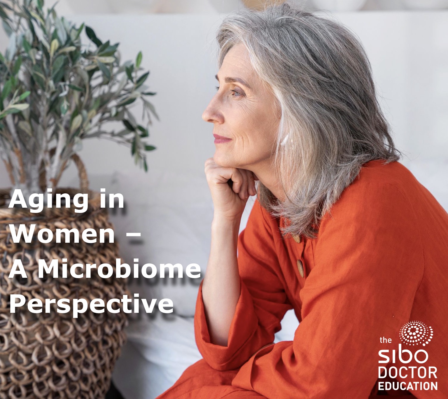 SIBO & Gut Health Consultation Program