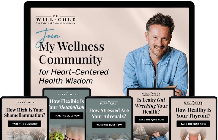 The Ultimate Guide To Plant-Based Ketogenic Nutrition