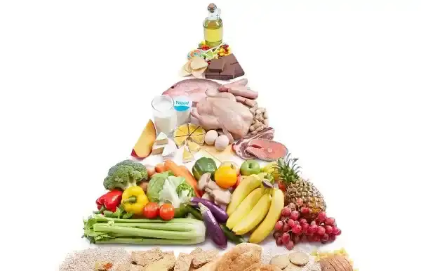 Initial Nutrition Consultation & Assessment