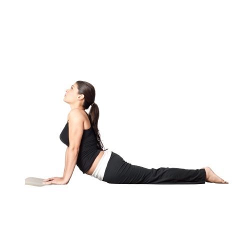 Low back pain exercises- lumbar spondylosis
